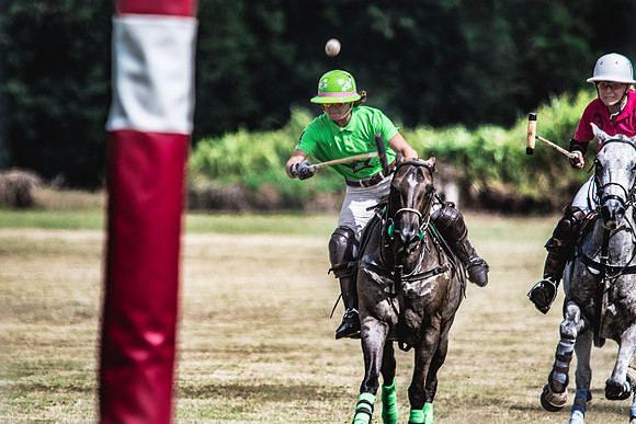 Wahine Hawaii Polo-60