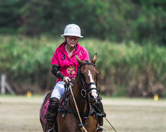 Wahine Hawaii Polo-61