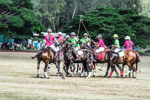 Wahine Hawaii Polo-63