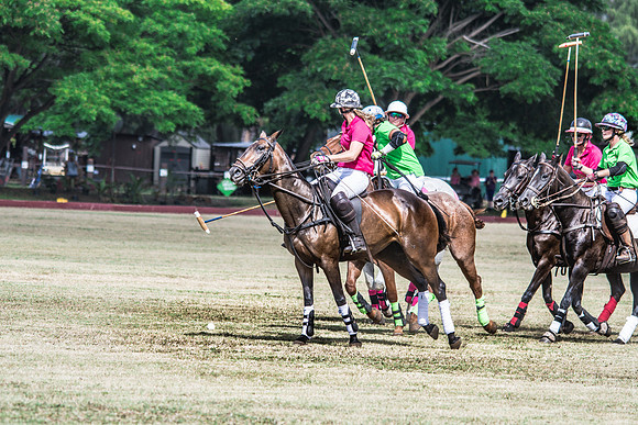 Wahine Hawaii Polo-64