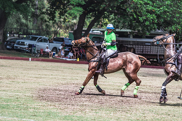 Wahine Hawaii Polo-65