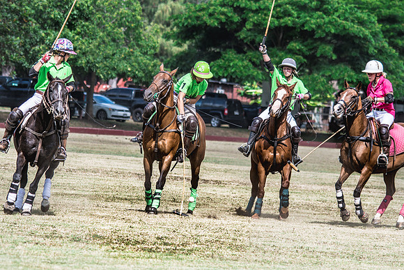 Wahine Hawaii Polo-66