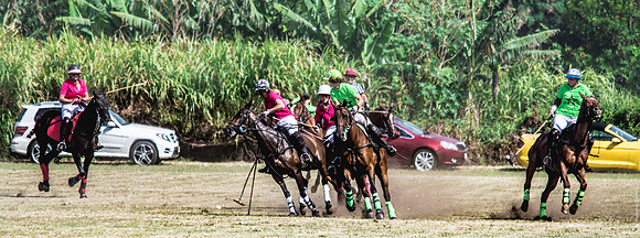 Wahine Hawaii Polo-67