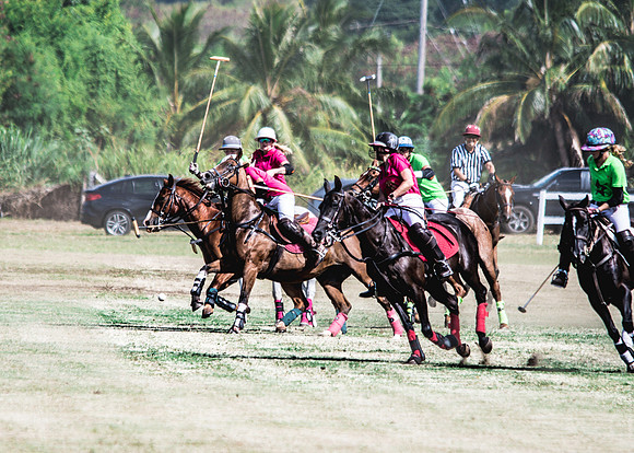 Wahine Hawaii Polo-68