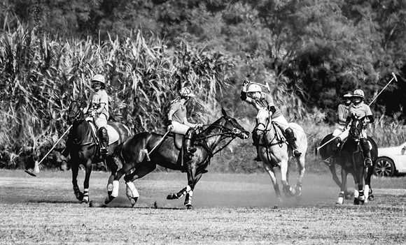 Wahine Hawaii Polo-69