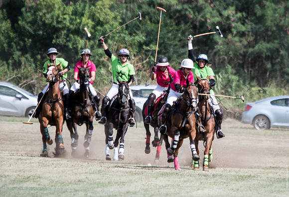 Wahine Hawaii Polo-71