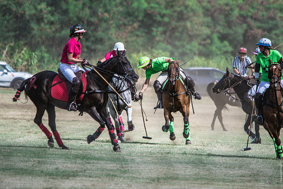 Wahine Hawaii Polo-72