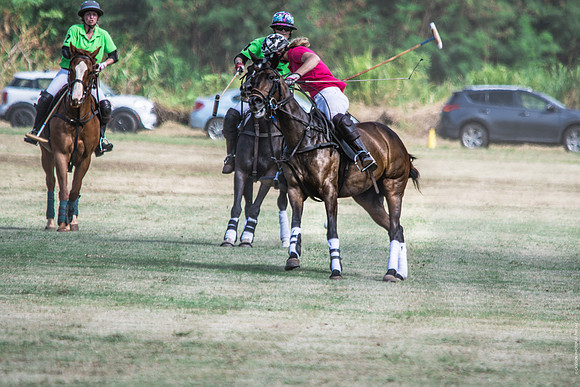 Wahine Hawaii Polo-73