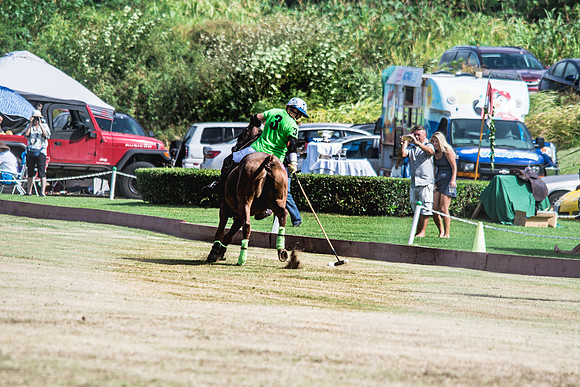 Wahine Hawaii Polo-76