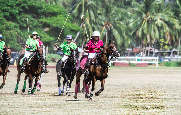 Wahine Hawaii Polo-77