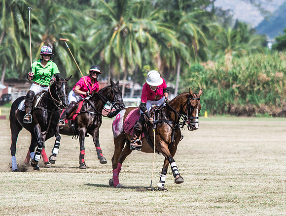 Wahine Hawaii Polo-78