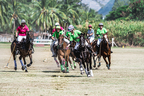 Wahine Hawaii Polo-79