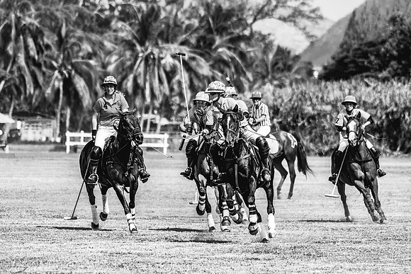 Wahine Hawaii Polo-80