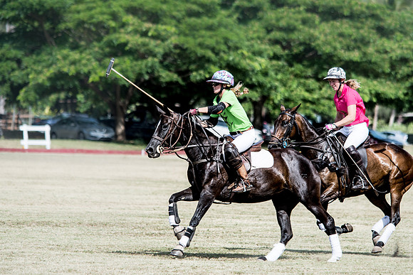 Wahine Hawaii Polo-81