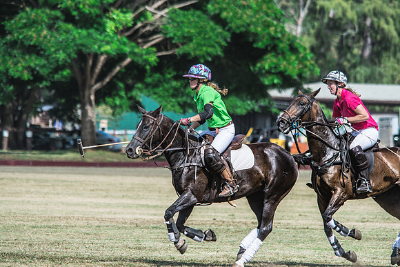 Wahine Hawaii Polo-82