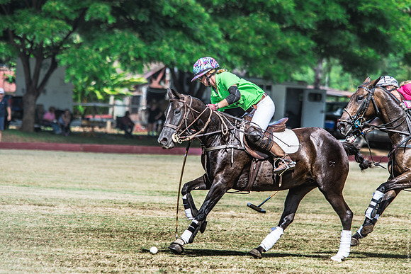 Wahine Hawaii Polo-83