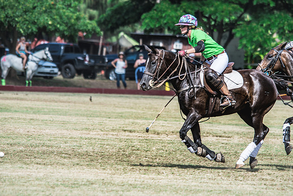 Wahine Hawaii Polo-84