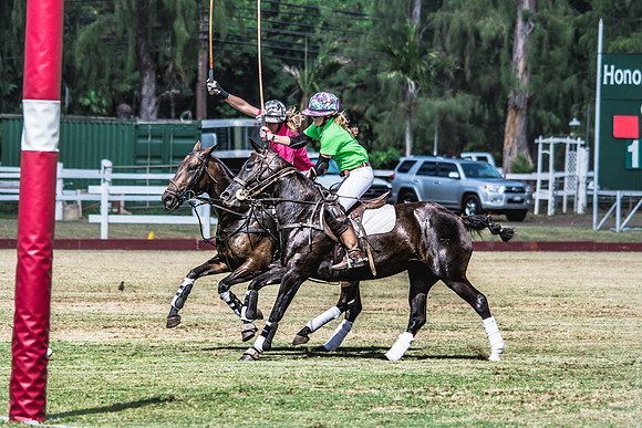 Wahine Hawaii Polo-85
