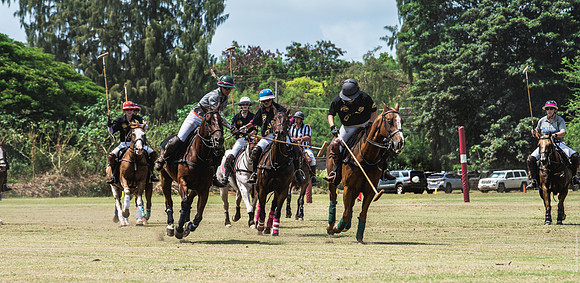 Wahine Hawaii Polo-500