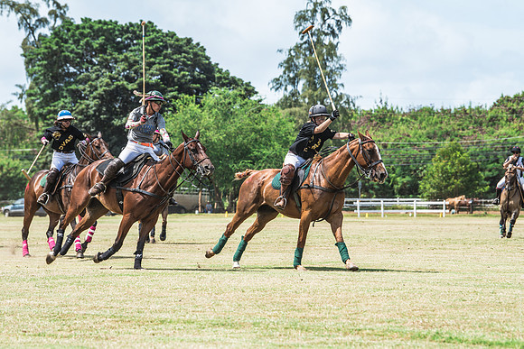 Wahine Hawaii Polo-501