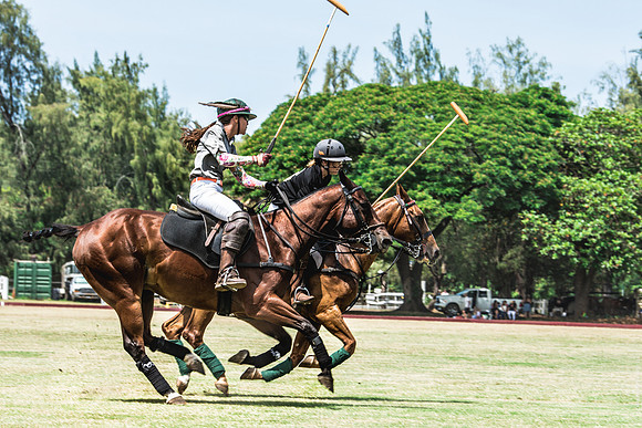 Wahine Hawaii Polo-502
