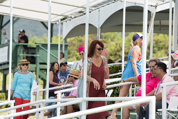 Wahine Hawaii Polo-506