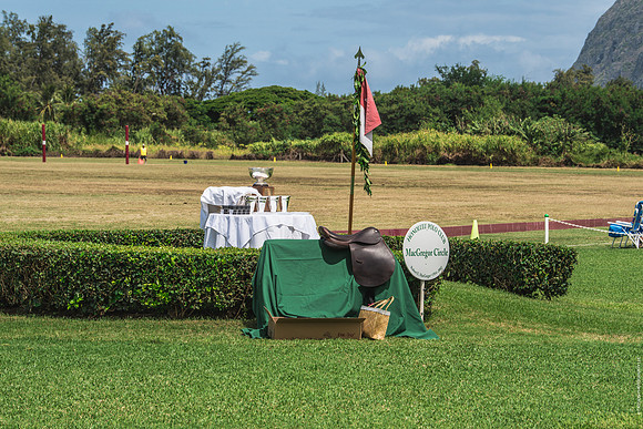 Wahine Hawaii Polo-508