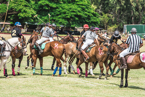 Wahine Hawaii Polo-510