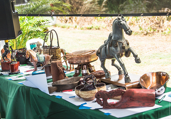 Wahine Hawaii Polo-531