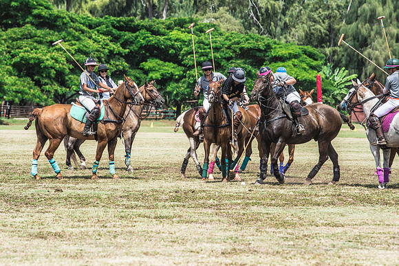 Wahine Hawaii Polo-541