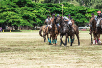 Wahine Hawaii Polo