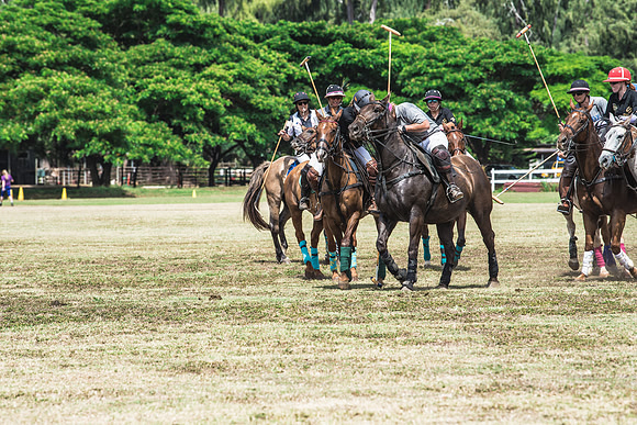 Wahine Hawaii Polo-542