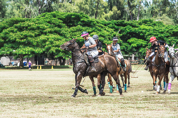 Wahine Hawaii Polo-543