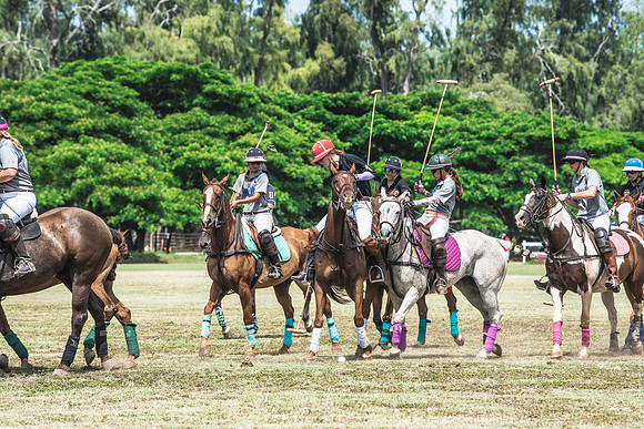 Wahine Hawaii Polo-544