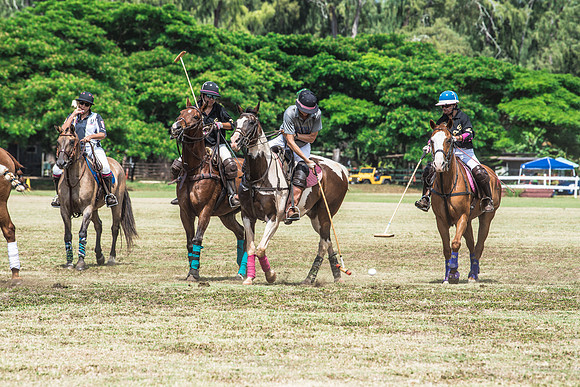 Wahine Hawaii Polo-545