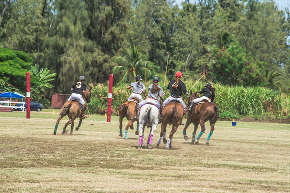 Wahine Hawaii Polo-546