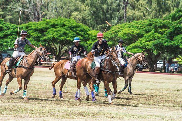 Wahine Hawaii Polo-548