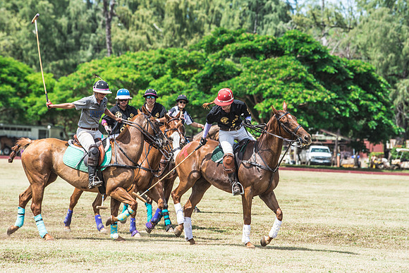 Wahine Hawaii Polo-549