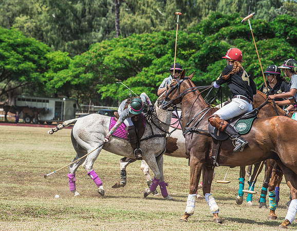 Wahine Hawaii Polo-551
