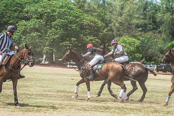 Wahine Hawaii Polo-552