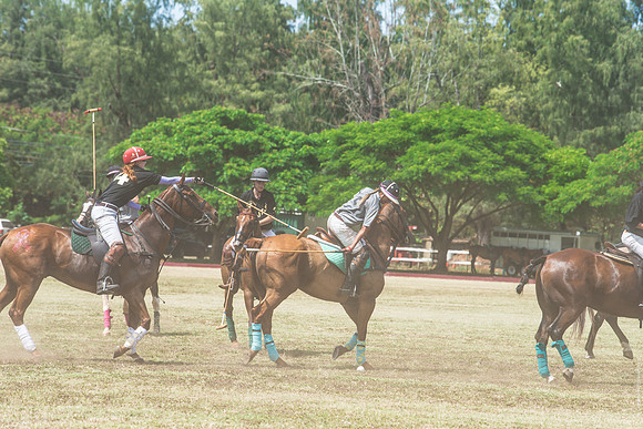 Wahine Hawaii Polo-553