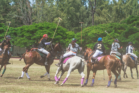 Wahine Hawaii Polo-554