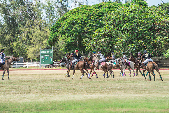 Wahine Hawaii Polo-555
