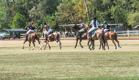 Wahine Hawaii Polo-556