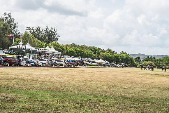 Wahine Hawaii Polo-558