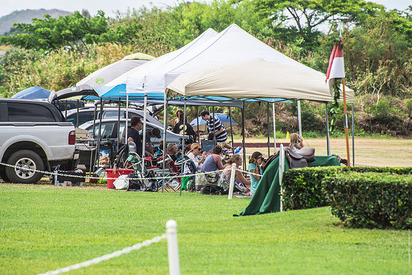 Wahine Hawaii Polo-562