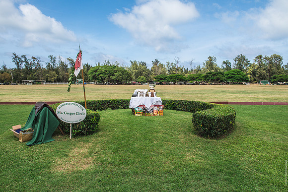Wahine Hawaii Polo-563