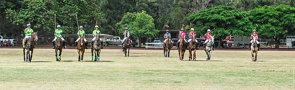 Wahine Hawaii Polo-566