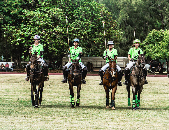 Wahine Hawaii Polo-567