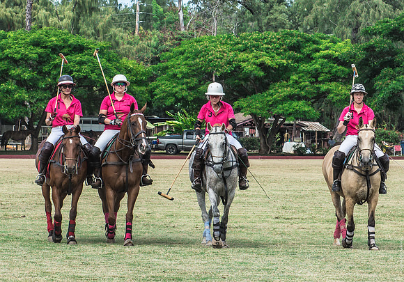 Wahine Hawaii Polo-568